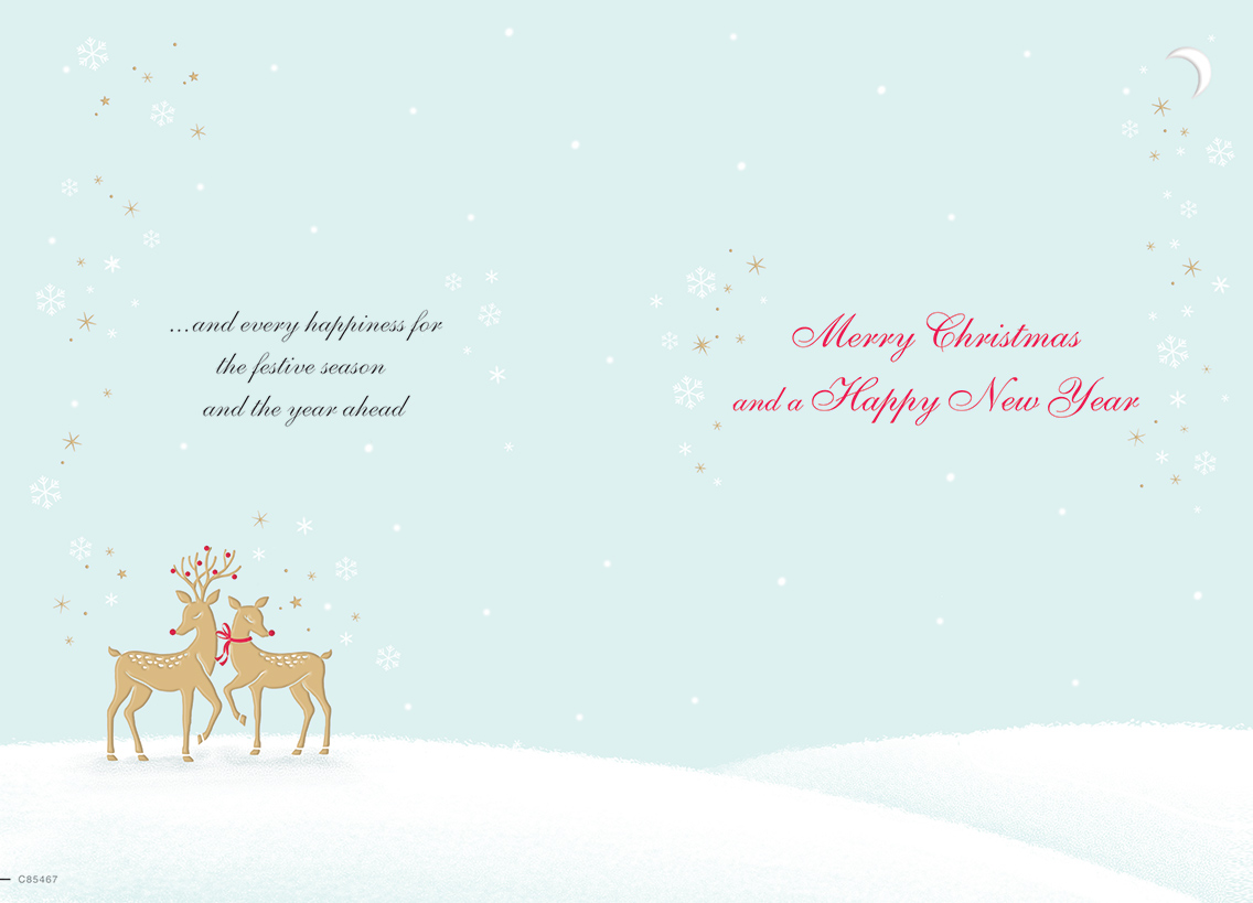 Regal 6 Pack C75 Cards Christmas Both Of You
