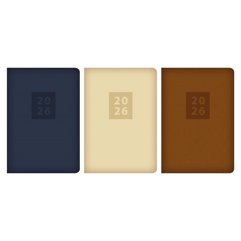 Diary A5 WTV Chino Embossed 2027 12pk