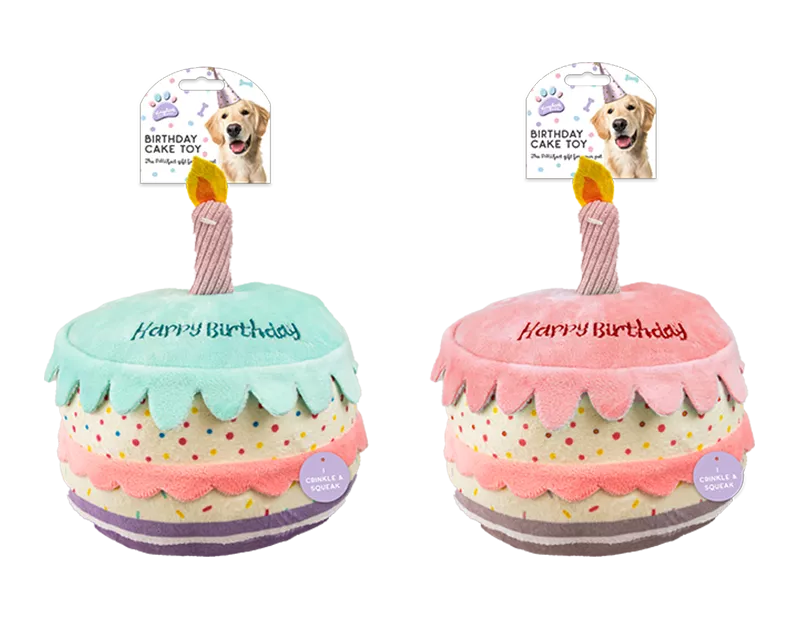 Birthday Cake Dog Toy (Colour May Vary)