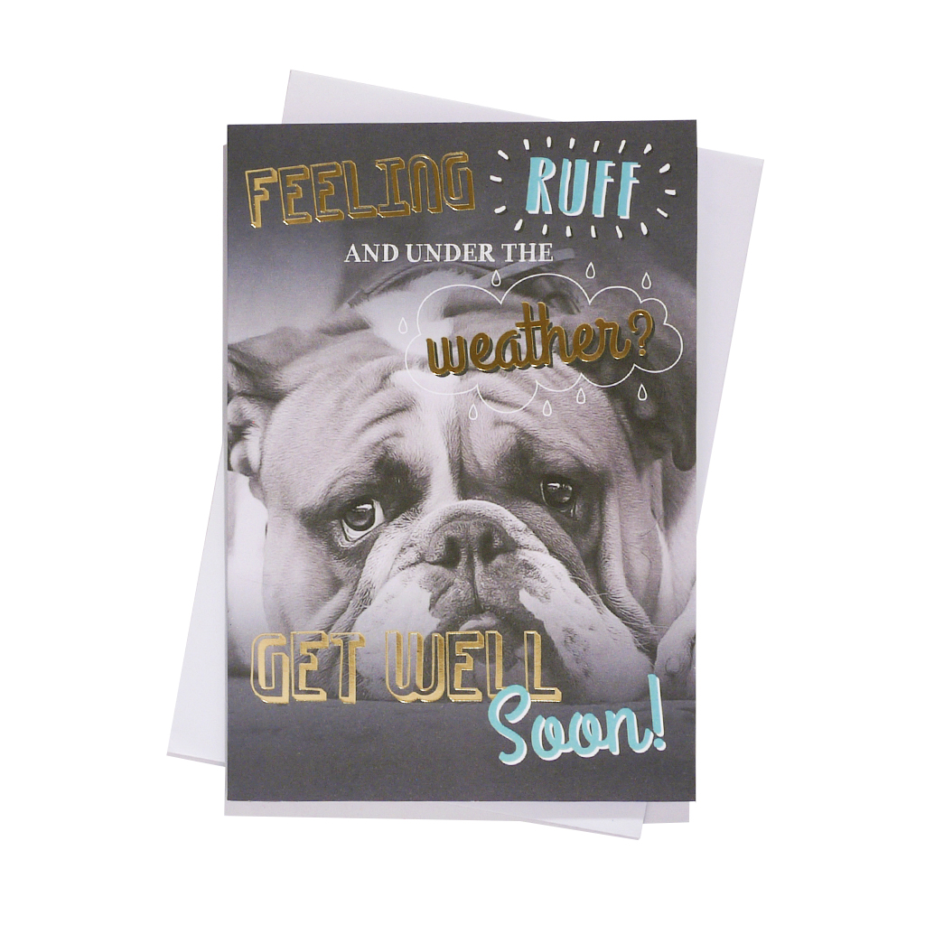Kingsley C50 Get Well 6pk