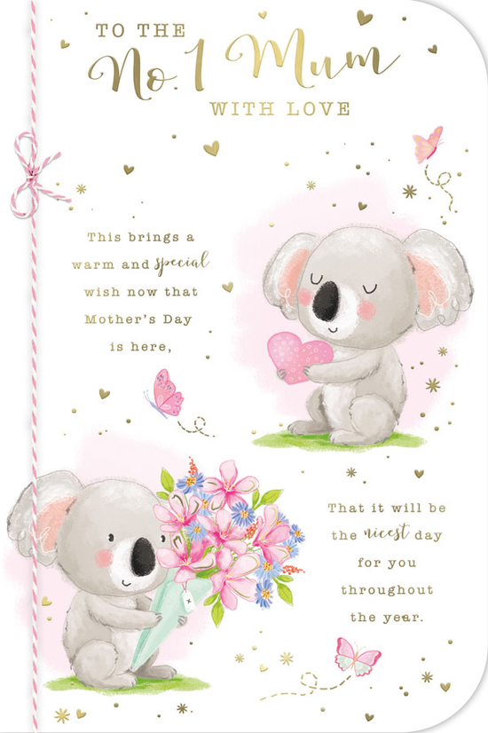 Prelude C75 Mother's Day Mum 6pk