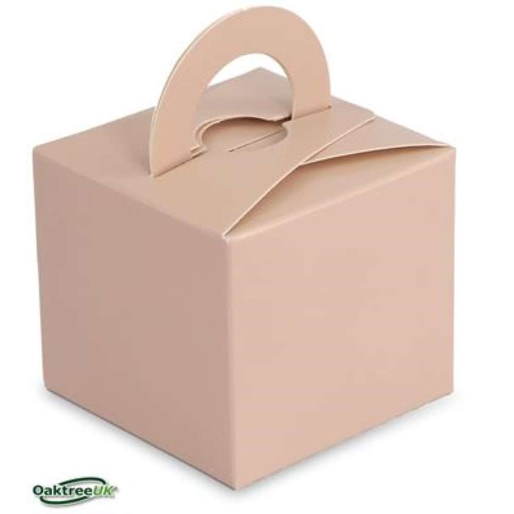 Oaktree 10 Pack Balloon Weight Gift Box Nude