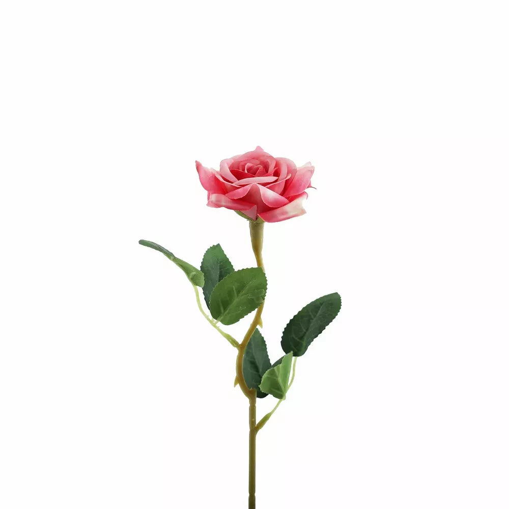 Rose Dark Pink