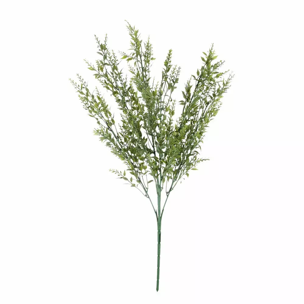MiniRuscus Bush Green