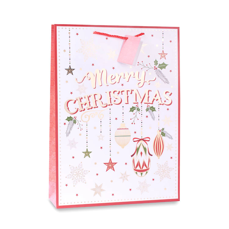 12pk Medium Portrait Gift Bags Text