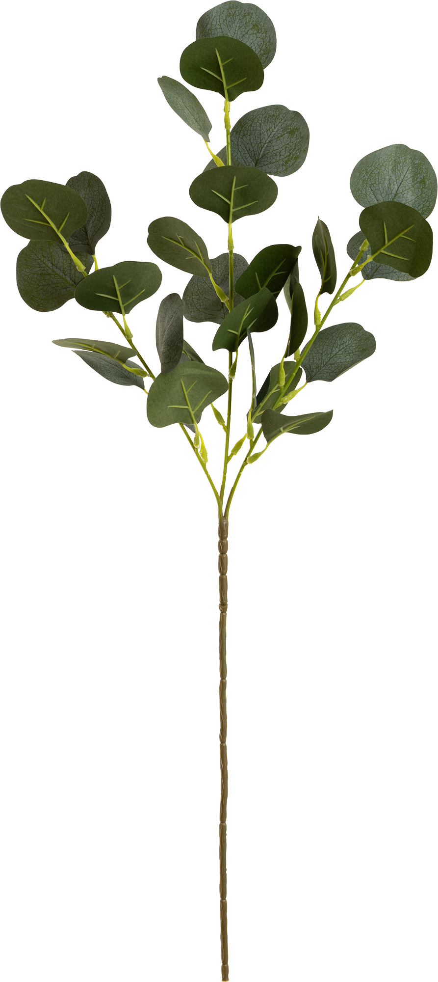 Eleganza Eucalyptus Frosted Green