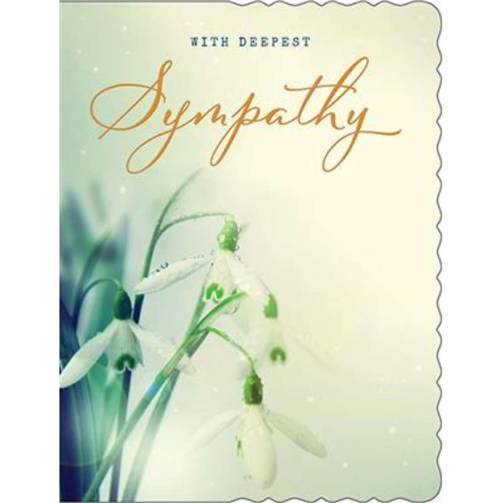Regal 6 Pack Cards C50 Everyday Sympathy