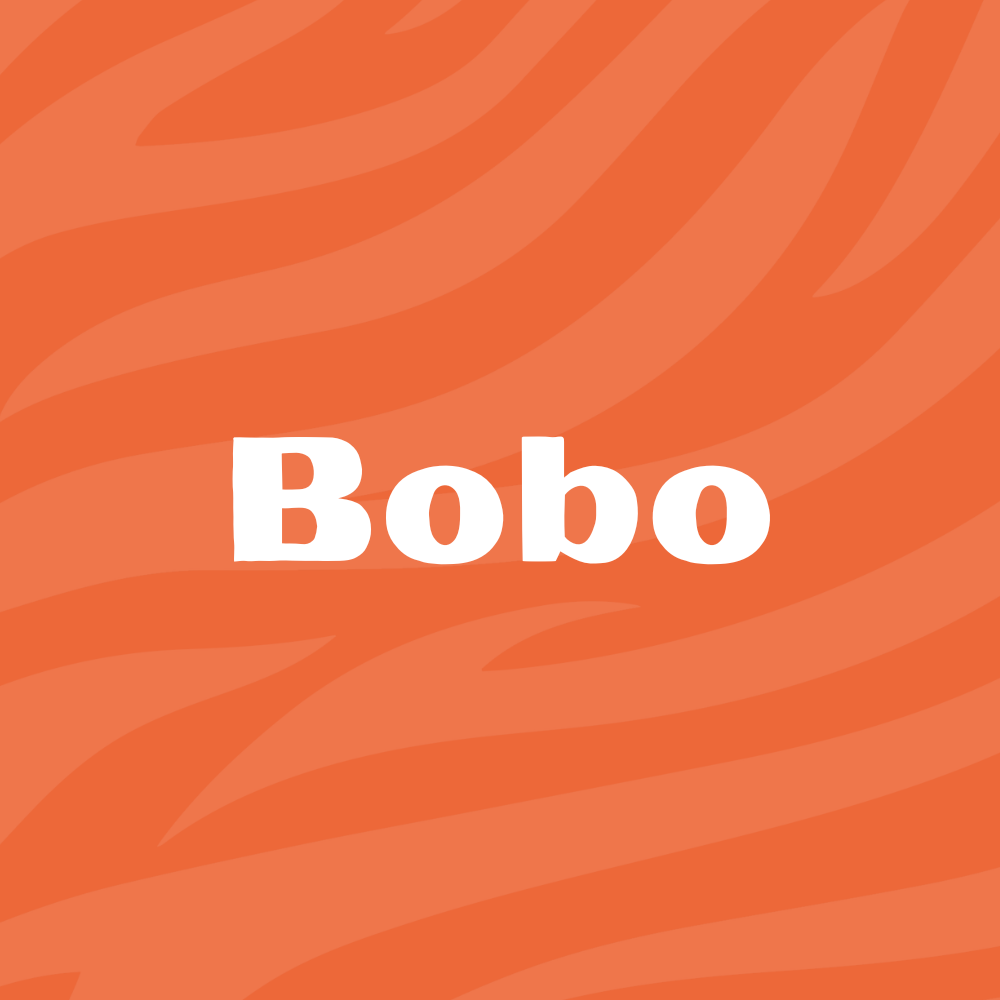 Bobo3