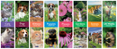 Calendar Slim Classic Assorted 2027 32pk