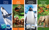 Calendar Super Slim Dolphin & Whales 2027 24pk