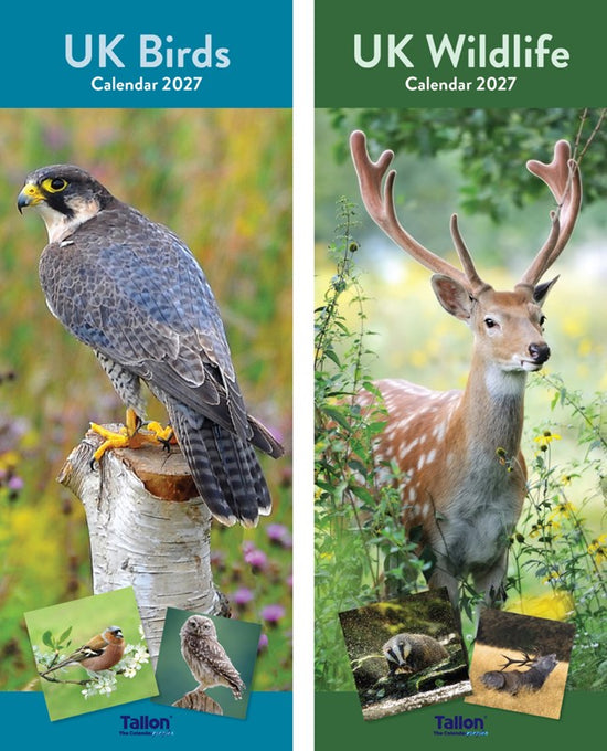 Calendar Super Slim Birds & Wildlife 2027 24pk