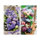Diary Slim WTV Floral 2027 18pk