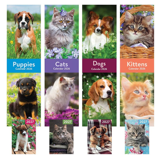 Calendar & Diary Cats & Dogs 2027 12pk