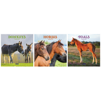 Calendar Square Donkeys, Horses & Foals 2027 12pk
