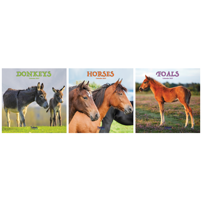 Calendar Square Donkeys, Horses & Foals 2027 12pk