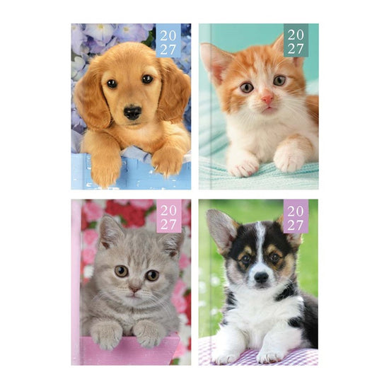 Diary Pocket WTV Kitten & Puppy 2027 24pk