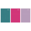 Diary A4 2DAP Appt Bright 2027 5pk