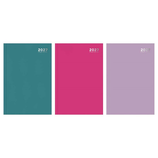 Diary A4 2DAP Appt Bright 2027 5pk