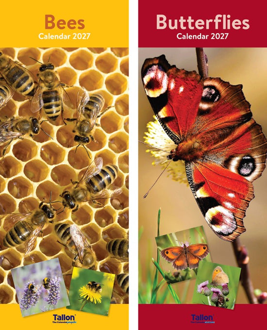 Calendar Super Slim Bees & Butterflies 2027 24pk