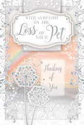 Xpress Yourself C75 Sympathy Loss Of Pet 6pk