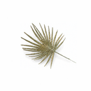Palm Pick Gold 29cm