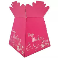Living Vase Mother's Day Daisies 17.5x24cm