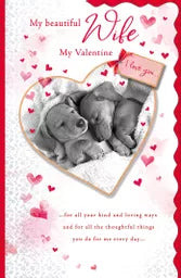 Regal 6 Pack Cards C150 Valentine's Day Wife
