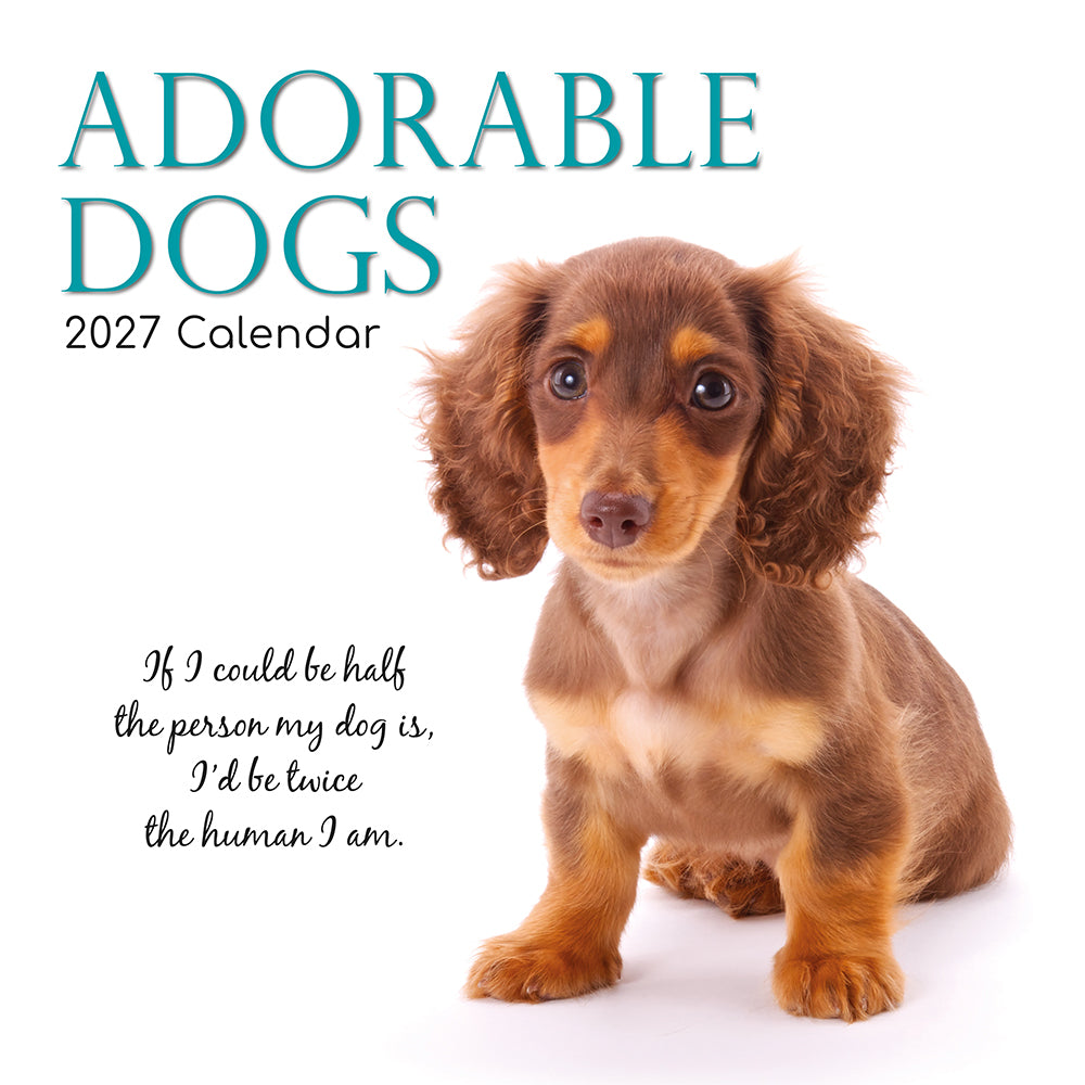 Gifted Stationery Calendar Adorable Dogs 2027