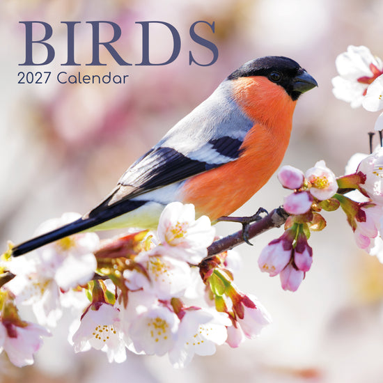 Gifted Stationery Calendar Birds 2027