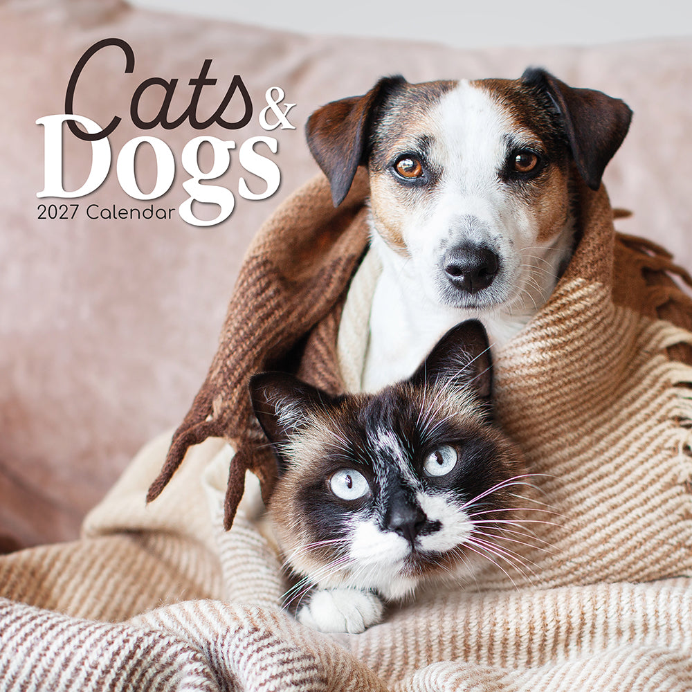 Gifted Stationery Calendar Cats & Dogs 2027
