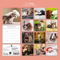 Gifted Stationery Calendar Cats & Dogs 2027