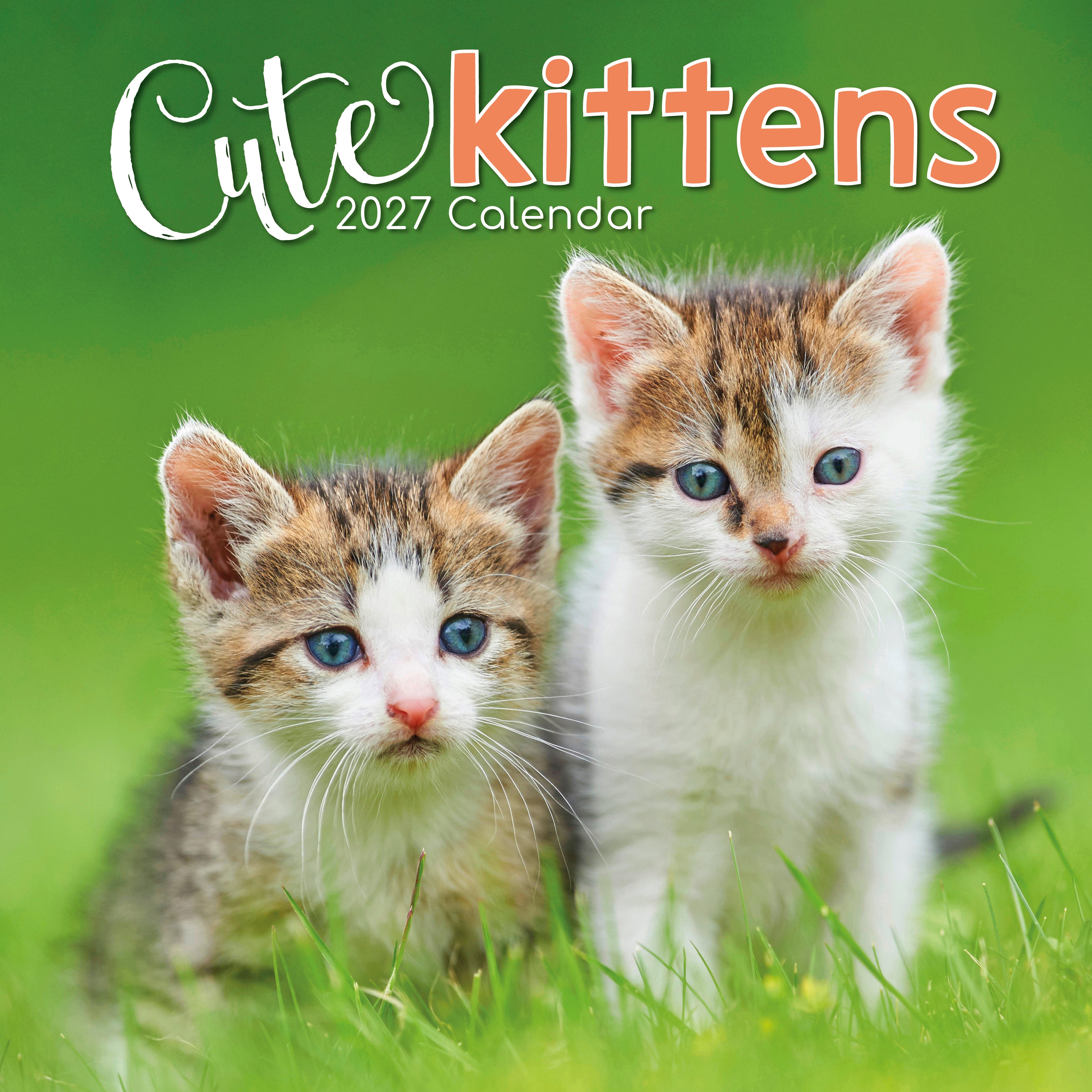 Gifted Stationery Calendar Cats & Kittens 2027