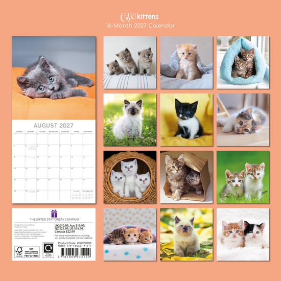 Gifted Stationery Calendar Cats & Kittens 2027