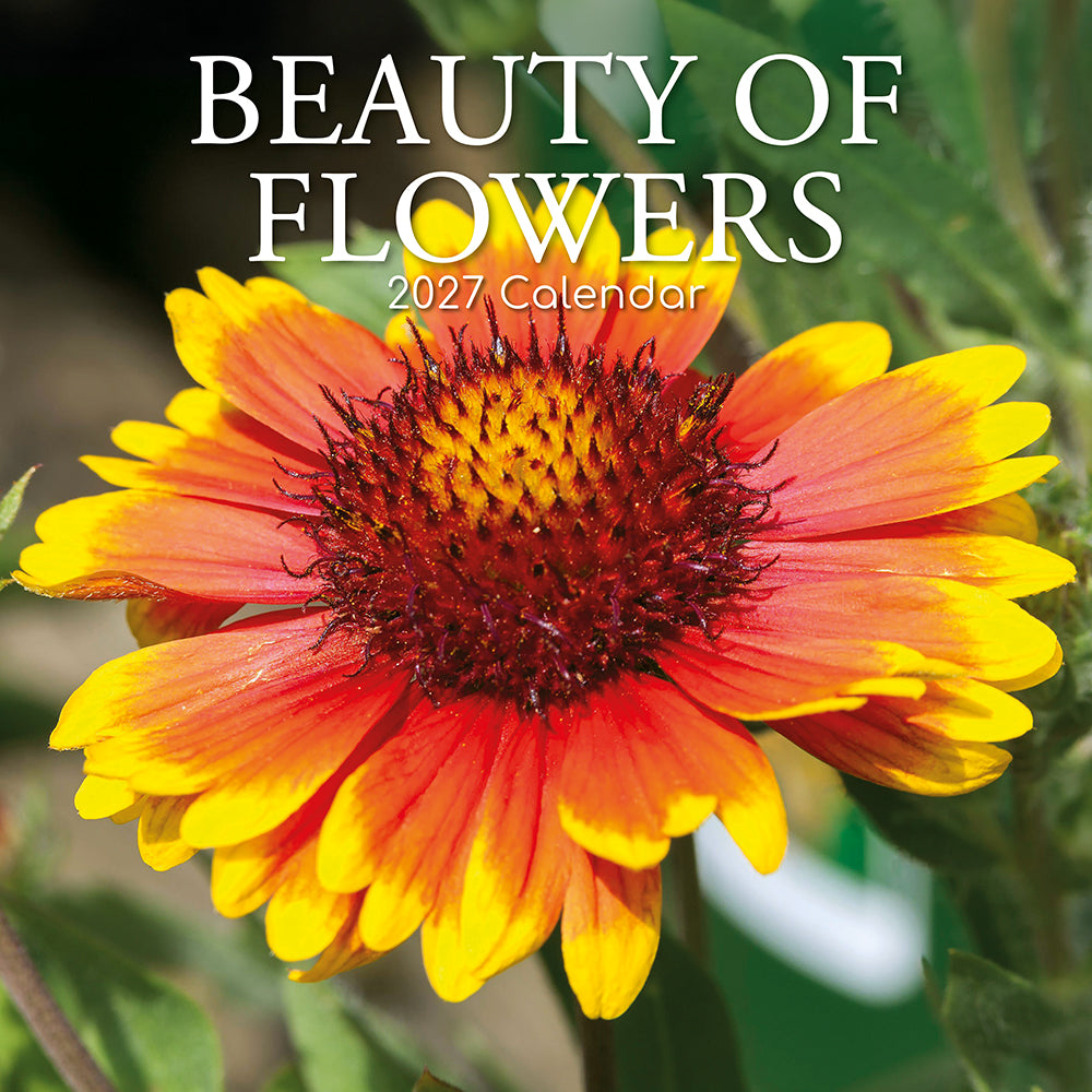 Gifted Stationery Calendar Beauty Of Flowers 2027