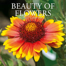 Gifted Stationery Calendar Beauty Of Flowers 2027