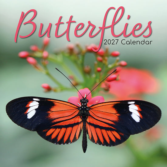 Gifted Stationery Calendar Butterflies 2027
