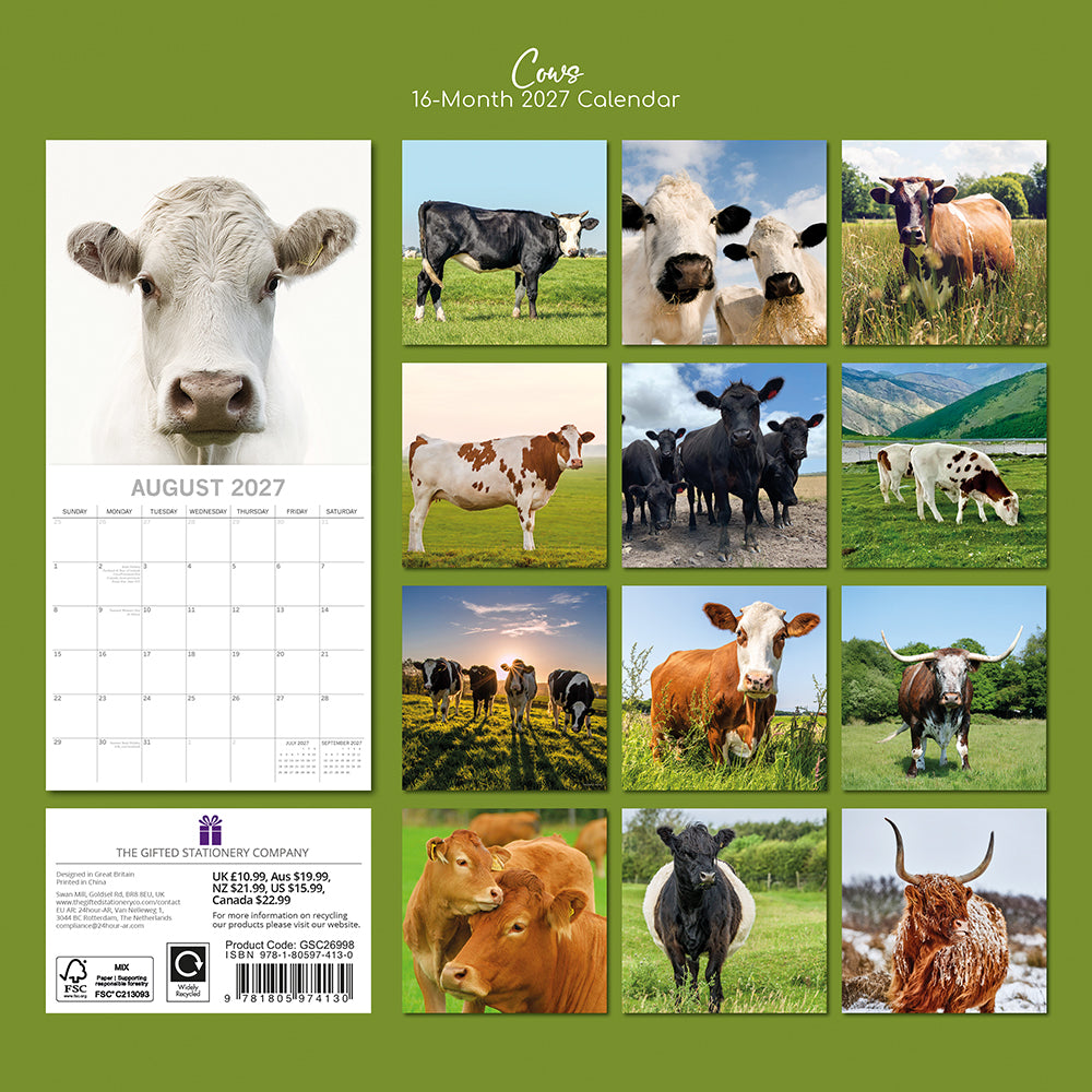 Gifted Stationery Calendar Cows 2027
