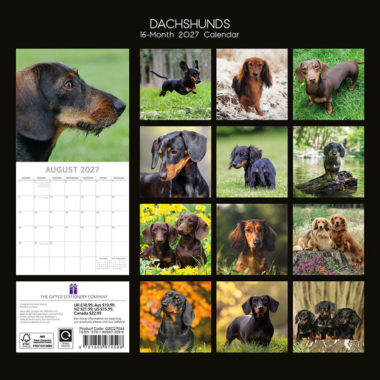 Gifted Stationery Calendar Dachshunds 2027