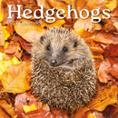 Gifted Stationery Calendar Hedgehogs 2027