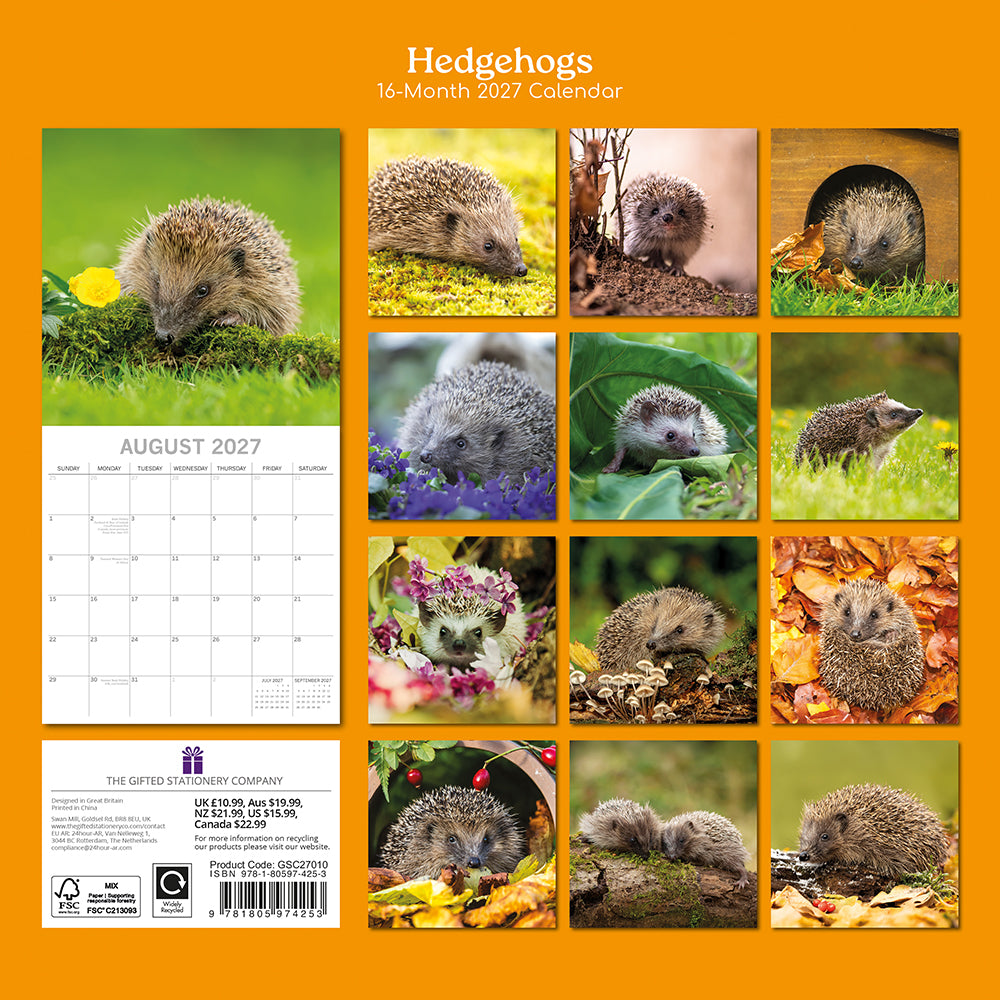 Gifted Stationery Calendar Hedgehogs 2027