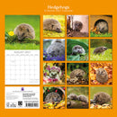 Gifted Stationery Calendar Hedgehogs 2027