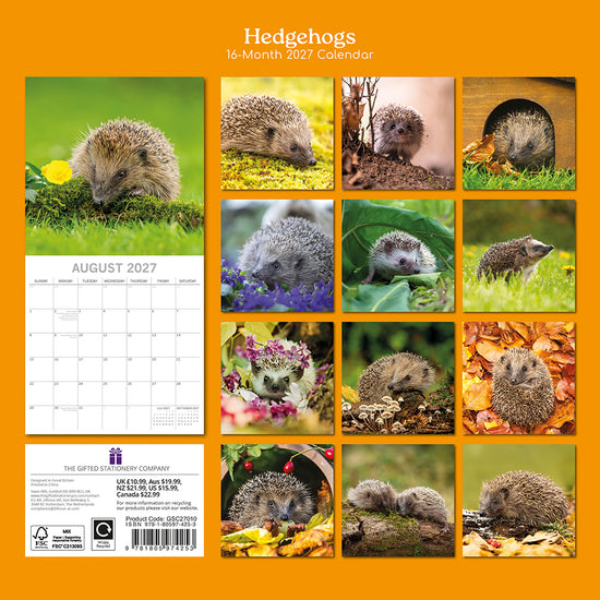 Gifted Stationery Calendar Hedgehogs 2027