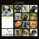 Gifted Stationery Calendar Cockapoos 2027