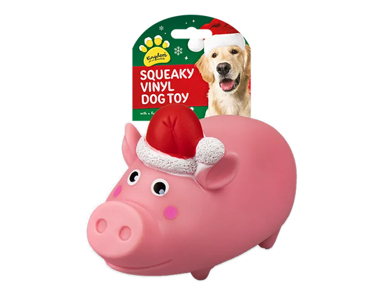 Christmas Squeaky Vinyl Dog Toy Large 24pk