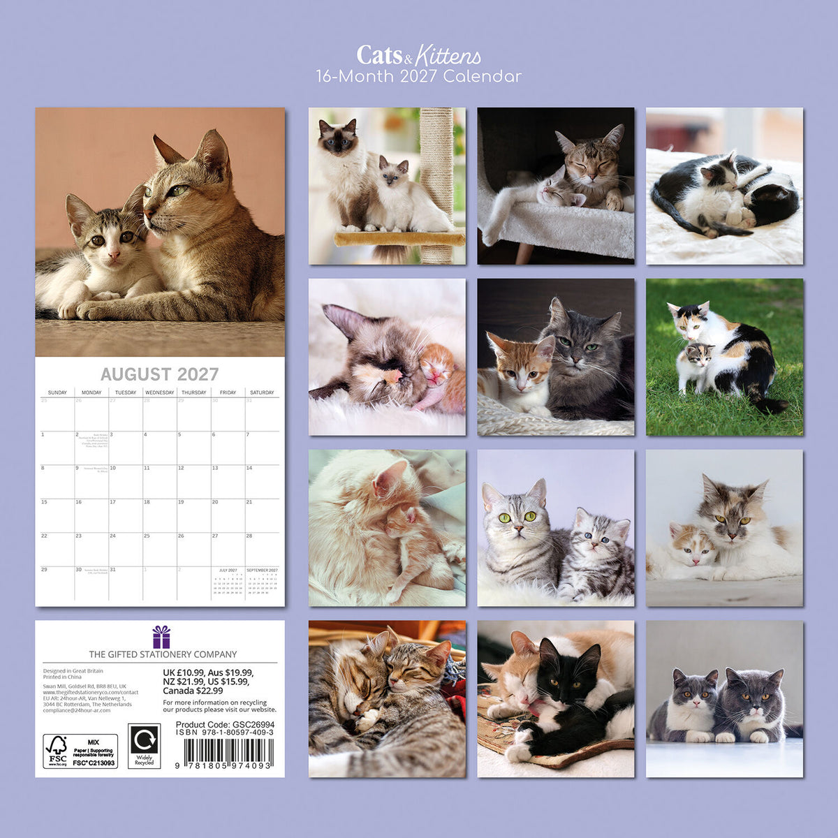 Gifted Stationery Calendar Cats & Kittens 2027