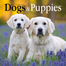 Gifted Stationery Calendar Dogs & Puppies 2027