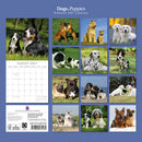 Gifted Stationery Calendar Dogs & Puppies 2027
