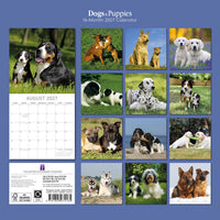 Gifted Stationery Calendar Dogs & Puppies 2027