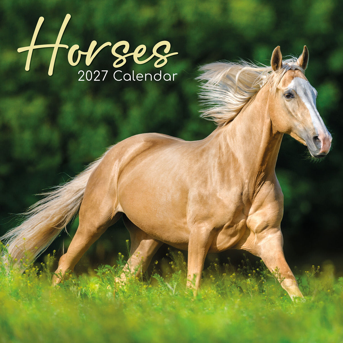 Gifted Stationery Calendar Horses 2027