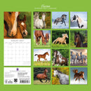 Gifted Stationery Calendar Horses 2027